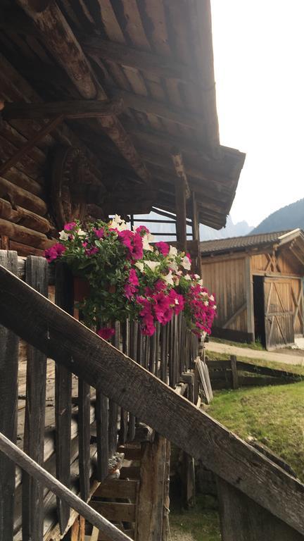 Garni Neidia Bed and Breakfast Selva di Val Gardena Esterno foto